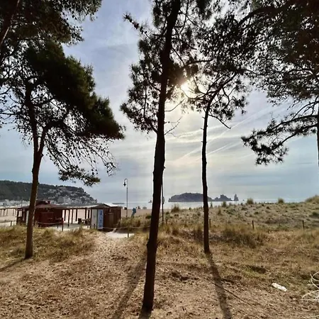 Vall Petita New - 056 *